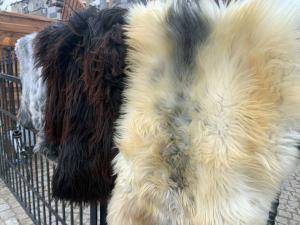 Peaux de mouton -  Peau de mouton naturelle - 279718_sheepskintannerypoland