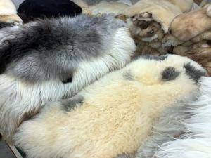 Peaux de mouton -  Peau de mouton naturelle - 779011_sheepskintannerypoland