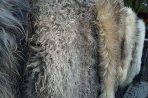 Peaux de mouton - Melerade - 950834_stunning-melerade-sheepskin