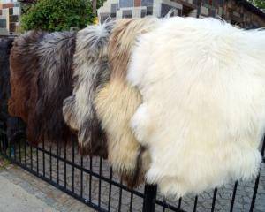 Peaux de mouton -  Peau de mouton naturelle - adam-leather-sheepskins-natural