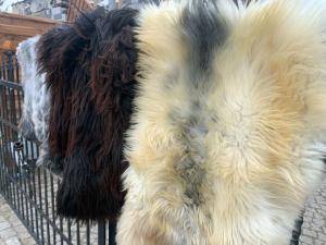 Peaux de mouton -  Peau de mouton naturelle - adam-leather-sheepskins