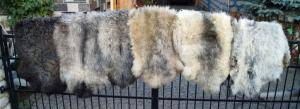 Peaux de mouton - Melerade - amazing-melerade-sheepskin