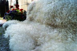 Peaux de mouton - Gotland - awesome-fluffy-sheepskin-gotland