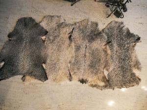 Peaux de mouton - Gotland - beauty-decorative-gotland