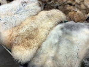 Peaux de mouton -  Peau de mouton naturelle - bioskraowcza