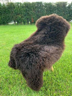 Peaux de mouton - Peaux suédoises - brown-swedish-sheepskins-adam-leather