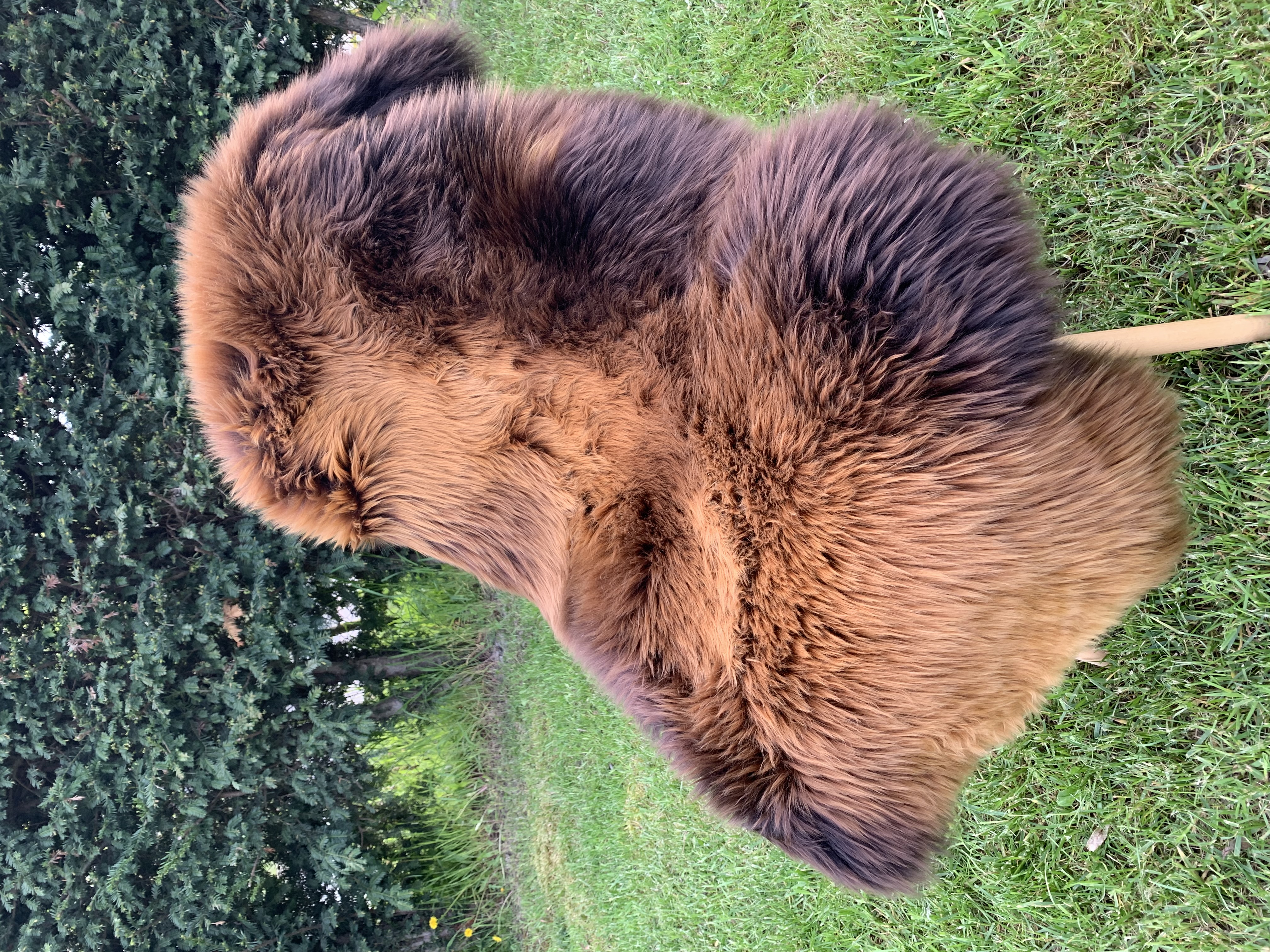Peaux de mouton - Peaux suédoises - chili-pepers-sheepskins-adam-leather