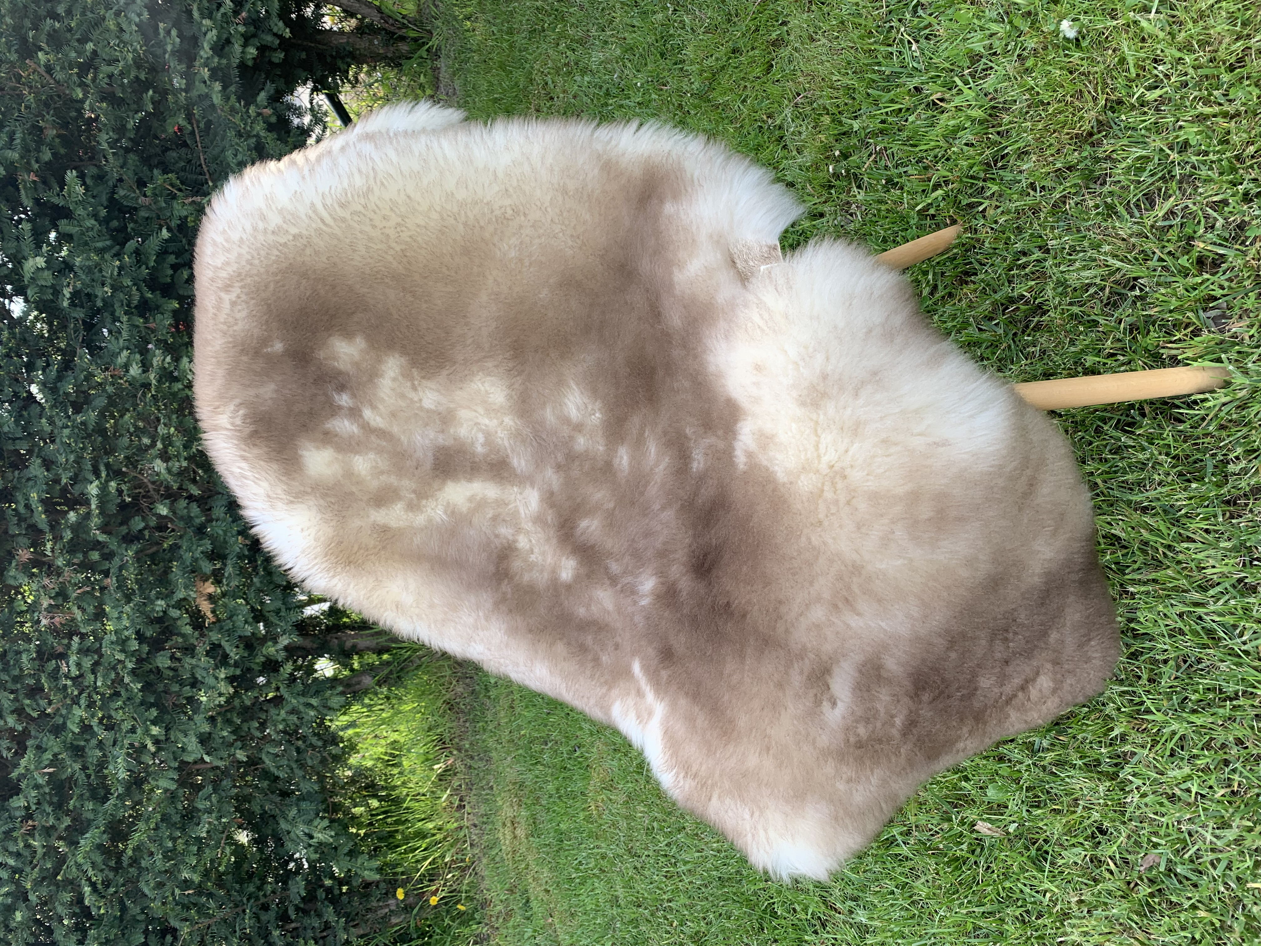 Peaux de mouton - Meliert - Cognac - cognac-meliert-sheepskins-adam-leather