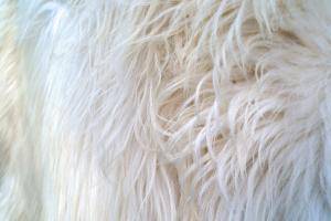 Peaux de mouton - Heidschnucke - decorative-carpet-heidschnucke-sheepskin