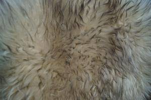 Peaux de mouton - Melerade - decorative-melerade-sheepskin