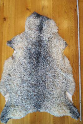 Peaux de mouton - Gotland - fantastic-white-gotland-sheepskin