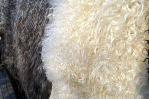 Peaux de mouton - Gotland - fluffy-gotland-sheepskin