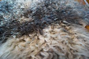 Peaux de mouton - Gotland - genial-sheepskins-sheep-adam-leather-eco