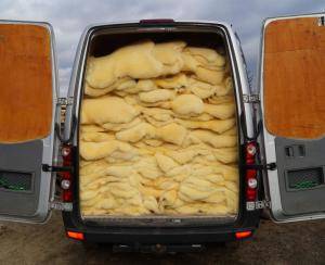 Peaux de mouton - Relugan - glamorous-relugan-sheepskin