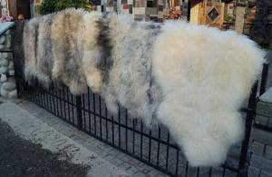 Peaux de mouton - Melerade - gorgeous-melerade-sheepskin
