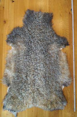 Peaux de mouton - Gotland - gotland-sheep-sheepskin-eco-adam-leather