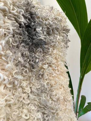 Peaux de mouton - Gotland - gotlandsheepskinwhiteandgrey2