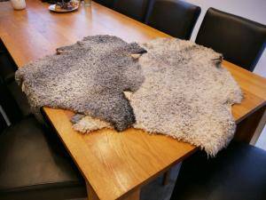 Peaux de mouton - Gotland - grey-white-gotland-sheepskin