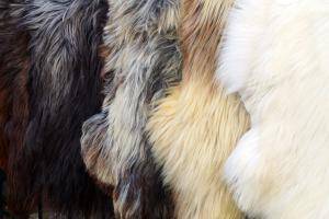 Peaux de mouton - Heidschnucke - heidschnucke-pretty-sheepskin
