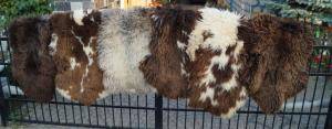Peaux de mouton - Peaux hollandaises - holland-sheepskin-natural-texel