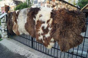 Peaux de mouton - Peaux hollandaises - holland-texel-original-sheepskin
