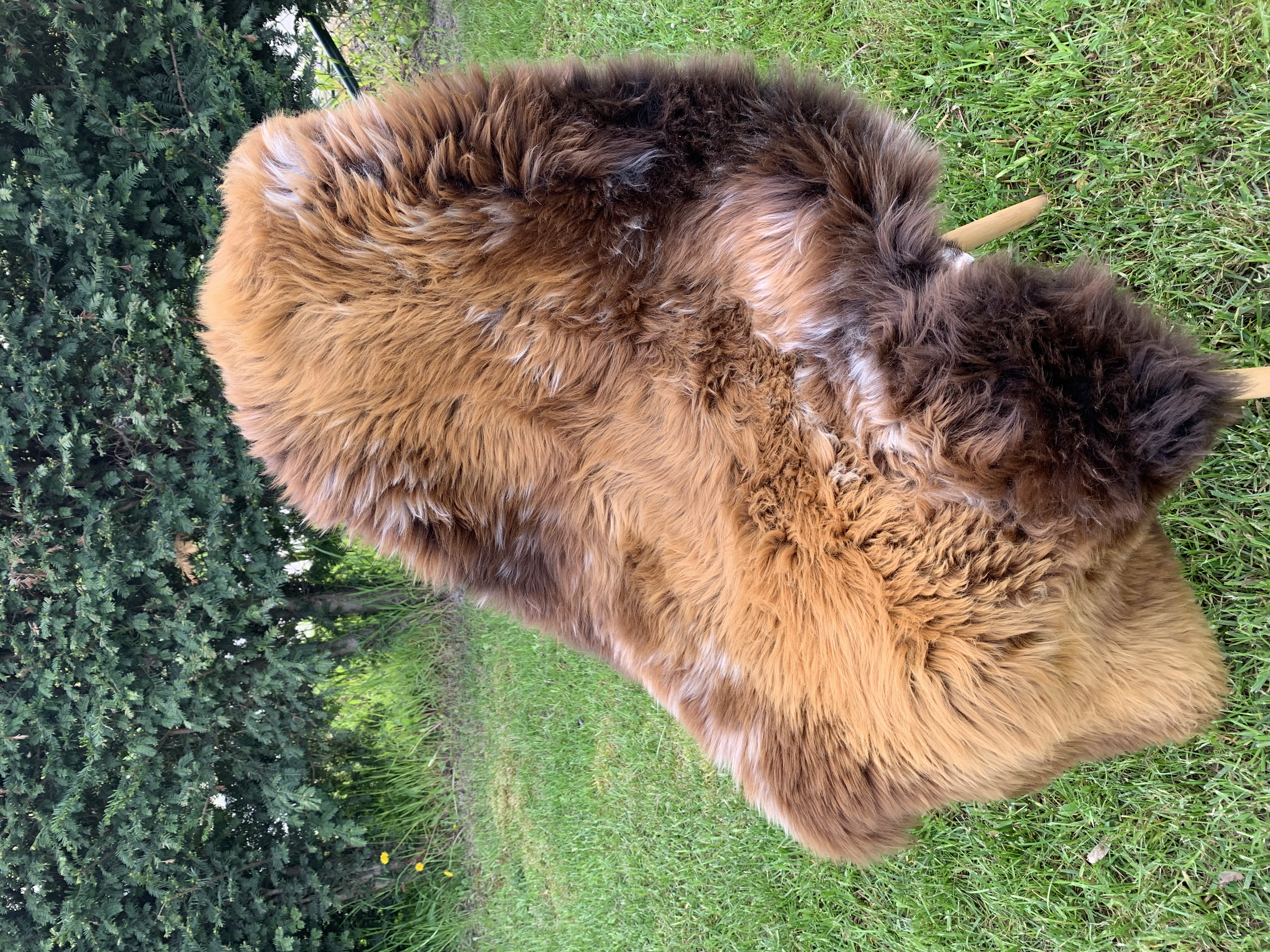 Peaux de mouton - Peaux suédoises - hot-chilli-pepers-swedish-sheepskins-adam-leather