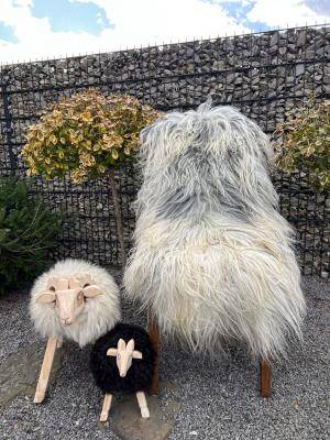 Peaux de mouton - islandais - img1505