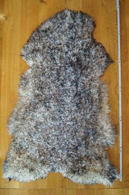 Peaux de mouton - Gotland - light-grey-curly-gotland