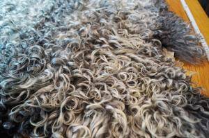 Peaux de mouton - Gotland - marvellous-gotland-sheepskin