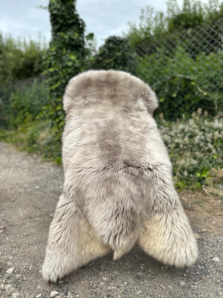 Peaux de mouton - Meliert - Cookies - meliert-cookies-sheepskins-adam-leather