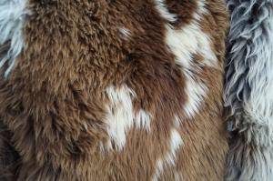 Peaux de mouton - Peaux hollandaises - natural-carpet-holland-sheepskin-texel