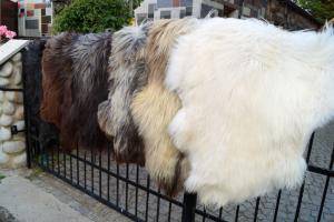 Peaux de mouton - Heidschnucke - natural-carpet-sheepskin-heidschnucke