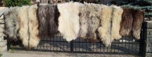 Peaux de mouton - Heidschnucke - natural-heidschnucke-sheepskin