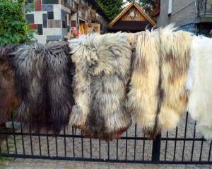 Peaux de mouton -  Peau de mouton naturelle - natural-sheepskins-adam-leather
