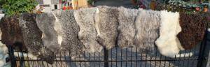Peaux de mouton - Gotland - pleasing-gotland-sheepskins-white-black-grey