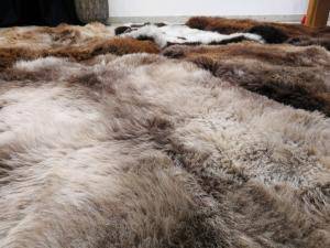 Peaux de mouton - Peaux hollandaises - pretty-holland-sheepskin-texel