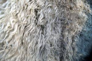 Peaux de mouton - Melerade - pretty-melerade-sheepskin