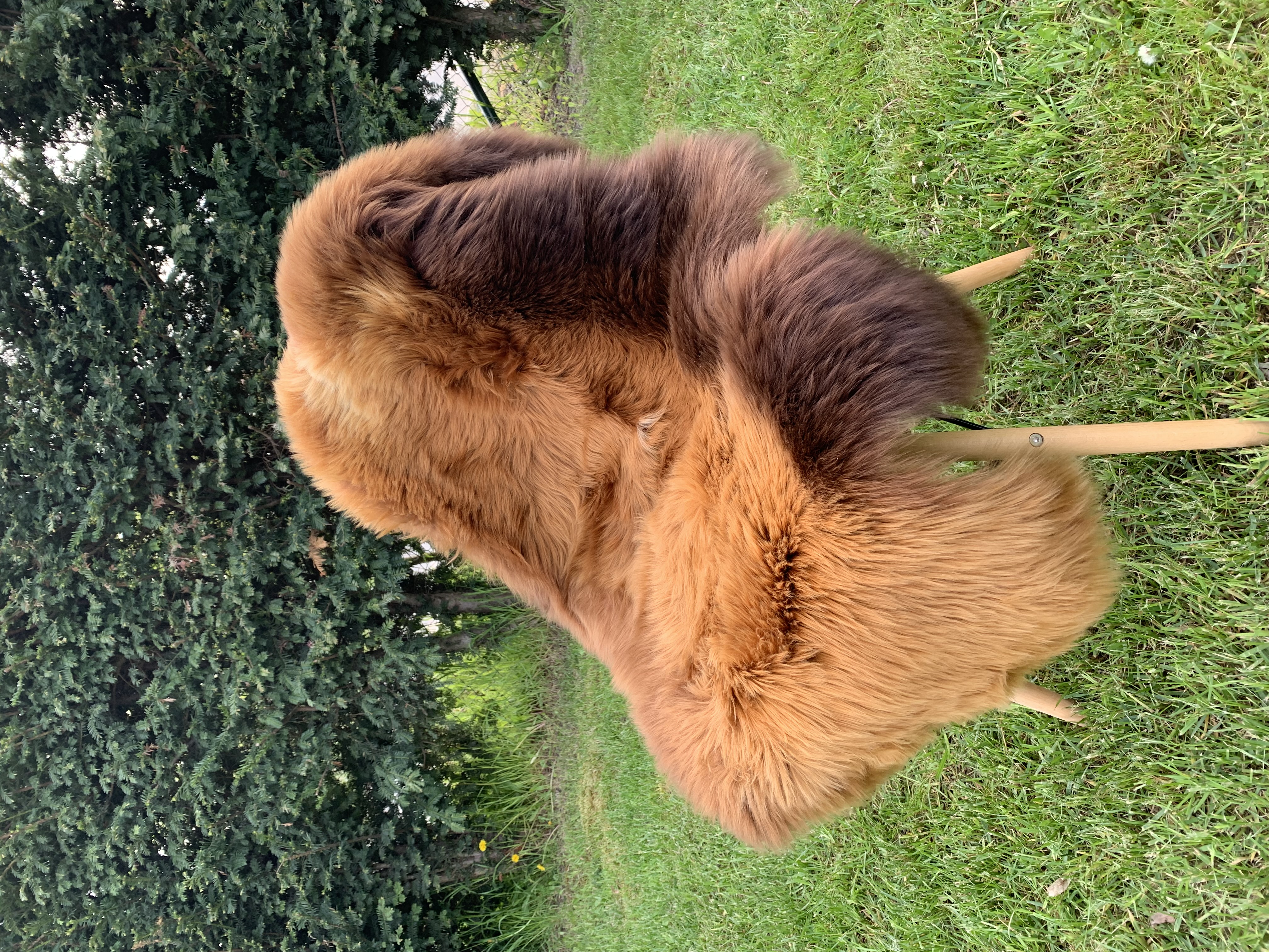 Peaux de mouton - Peaux suédoises - red-hot-chili-pepers-sheepskins-adam-leather