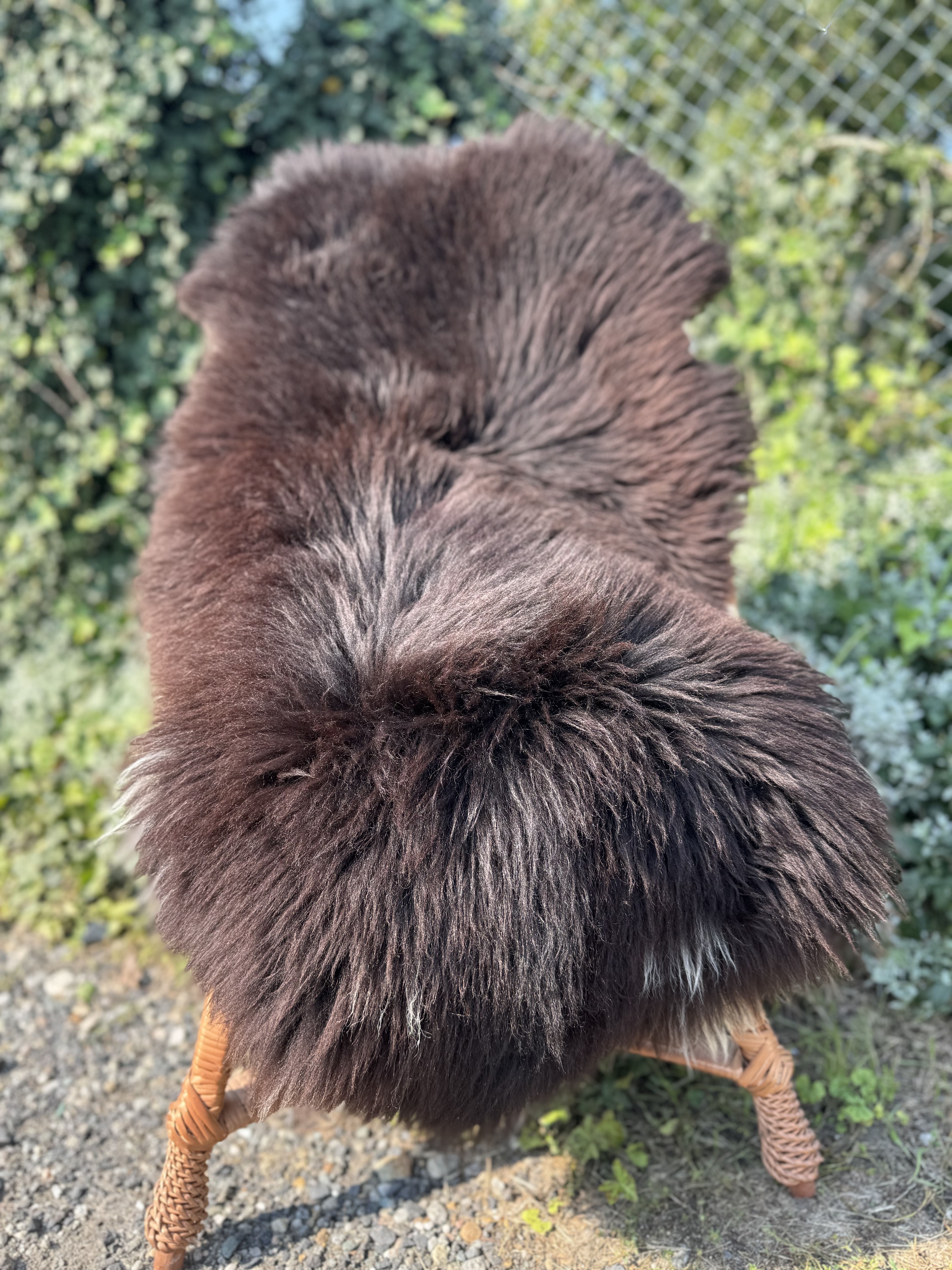 Peaux de mouton - Heidschnucke - skry-owcze-heidschuncke-sheepskin-schapenvacht-peau-de-mouton-frskinn-ovia-koa-ov-ke1