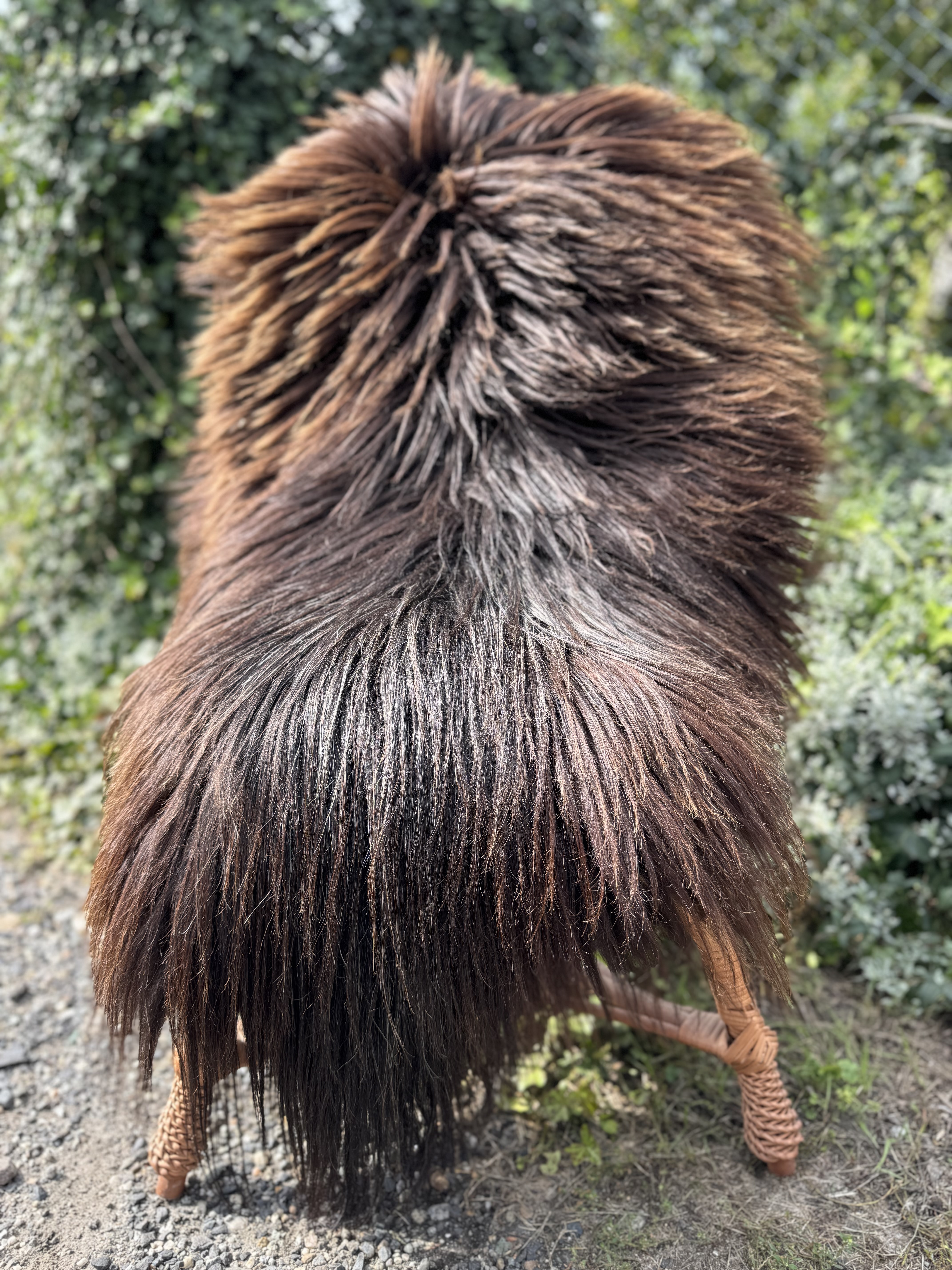 Peaux de mouton - Heidschnucke - skry-owcze-heidschuncke-sheepskin-schapenvacht-peau-de-mouton-frskinn-ovia-koa-ov-ke3