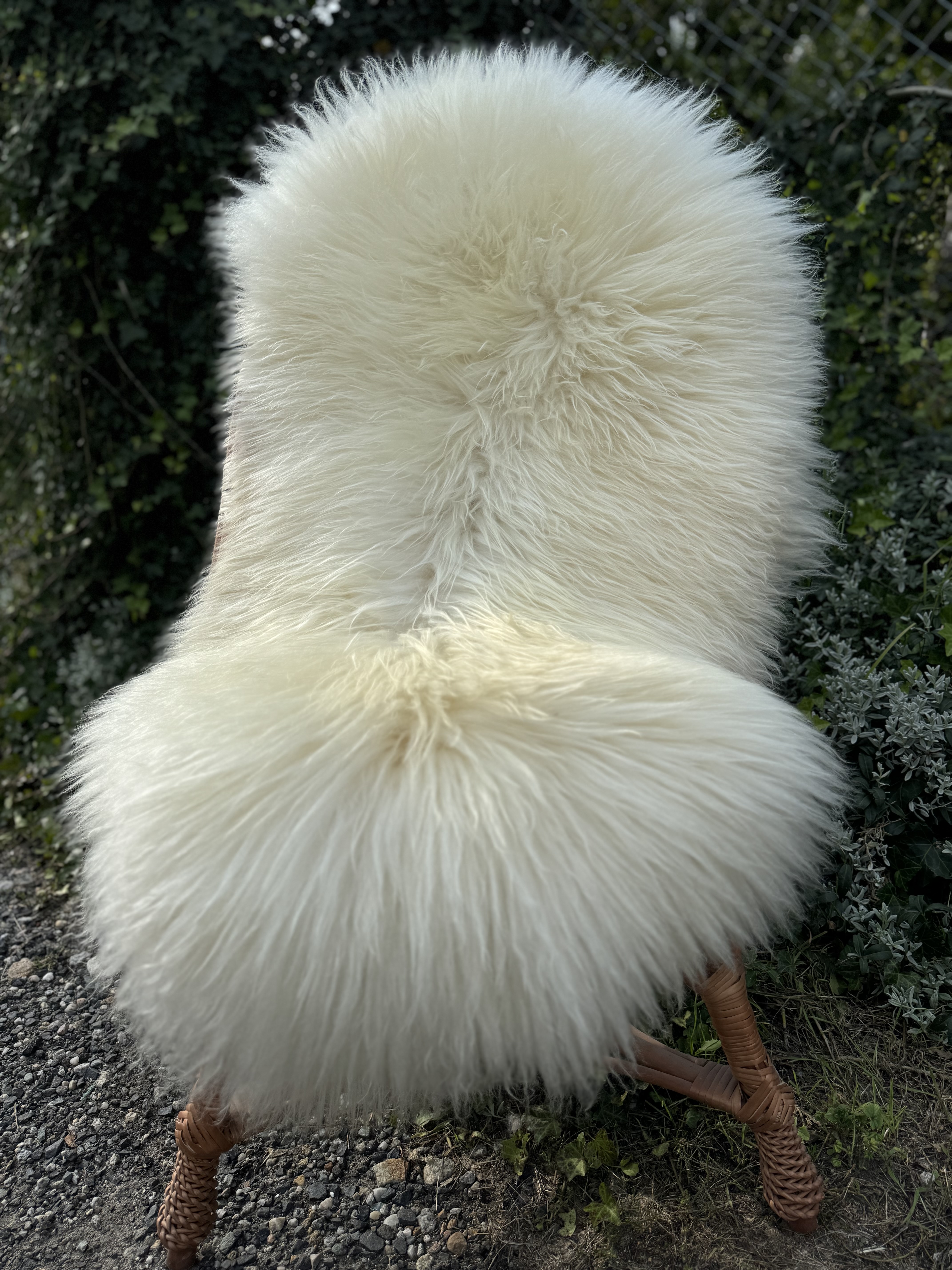 Peaux de mouton - Heidschnucke - skry-owcze-heidschuncke-sheepskin-schapenvacht-peau-de-mouton-frskinn-ovia-koa-ov-ke4