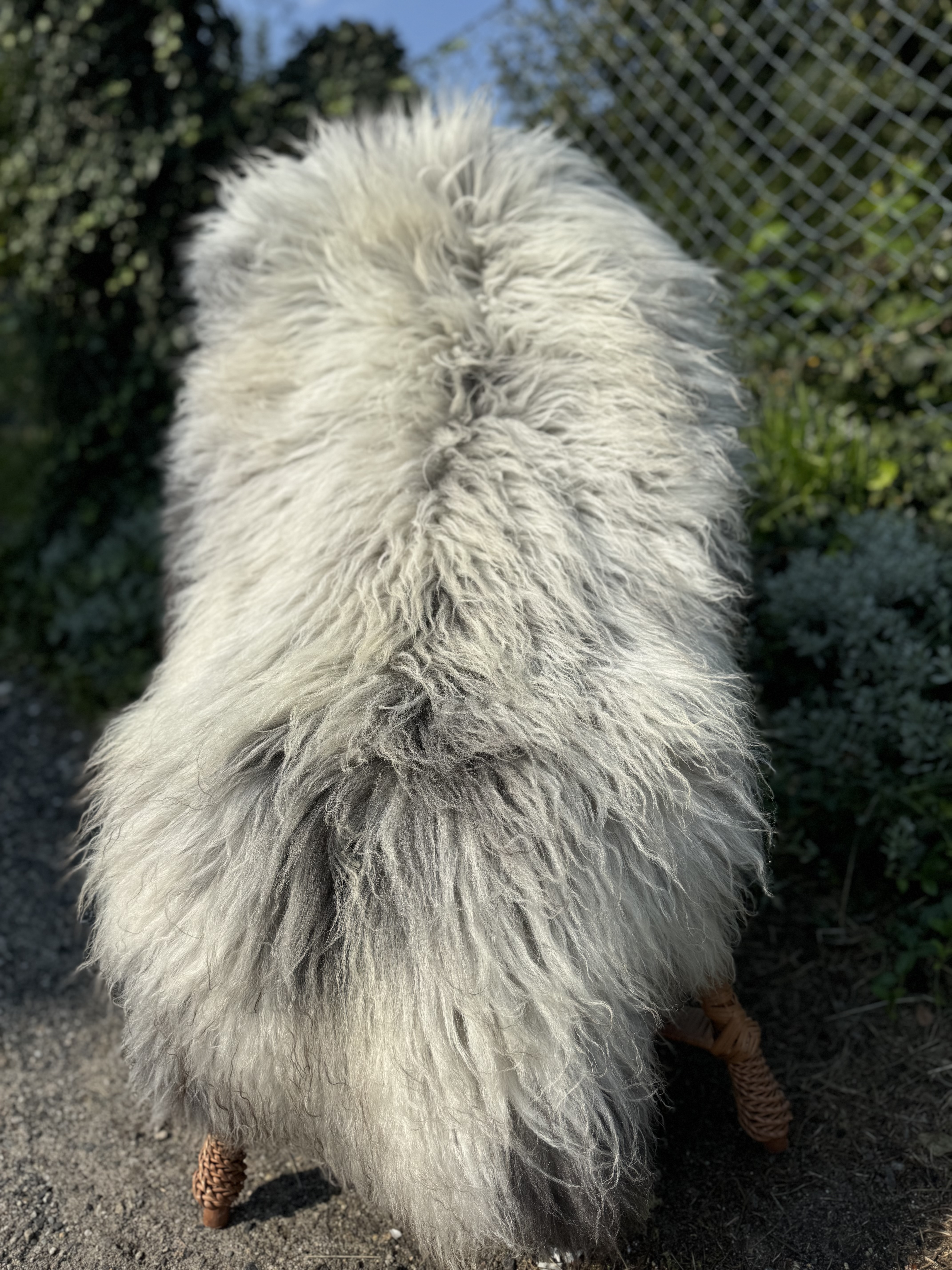 Peaux de mouton - Heidschnucke - skry-owcze-heidschuncke-sheepskin-schapenvacht-peau-de-mouton-frskinn-ovia-koa-ov-ke