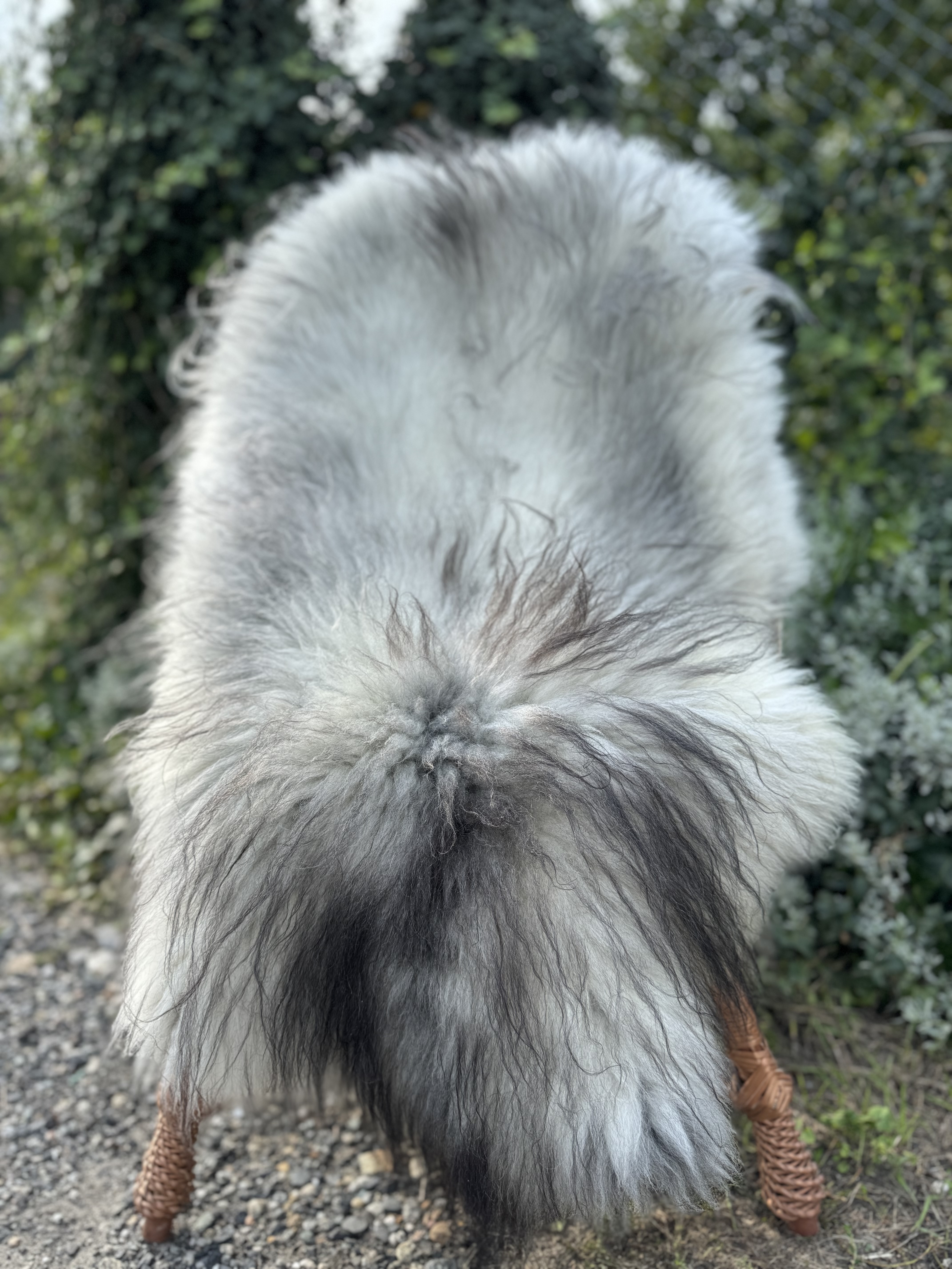 Peaux de mouton - Melerade - skry-owcze-melerade-sheepskin-schapenvacht-peau-de-mouton-frskinn-ovia-koa-ov-ke-melerade1