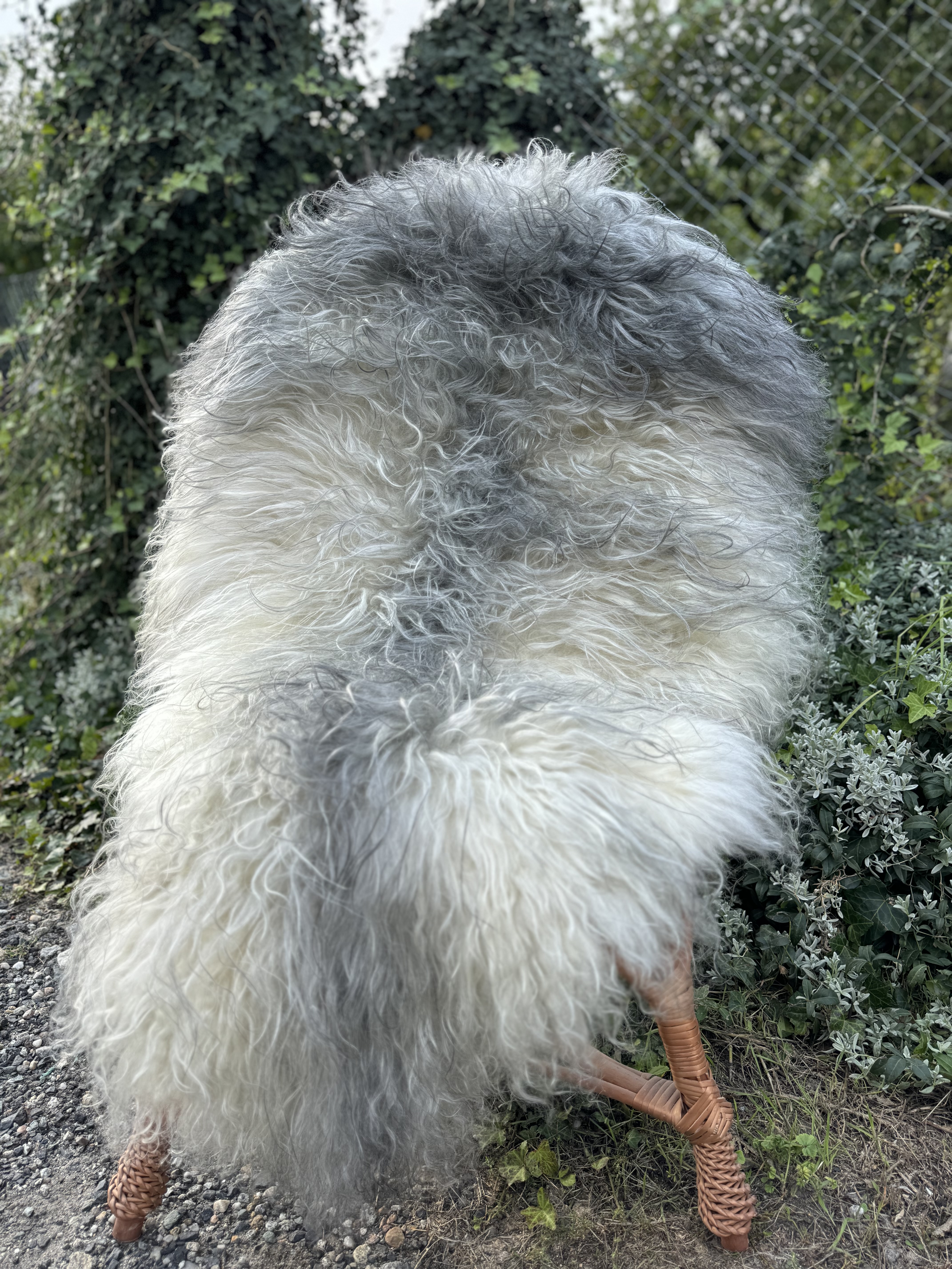 Peaux de mouton - Melerade - skry-owcze-melerade-sheepskin-schapenvacht-peau-de-mouton-frskinn-ovia-koa-ov-ke-melerade