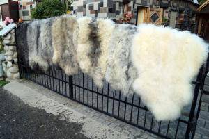 Peaux de mouton - Melerade - superb-melerade-sheepskin