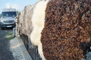 Peaux de mouton - Peaux suédoises - swedish-sheepskins-multicolor-adam-leather
