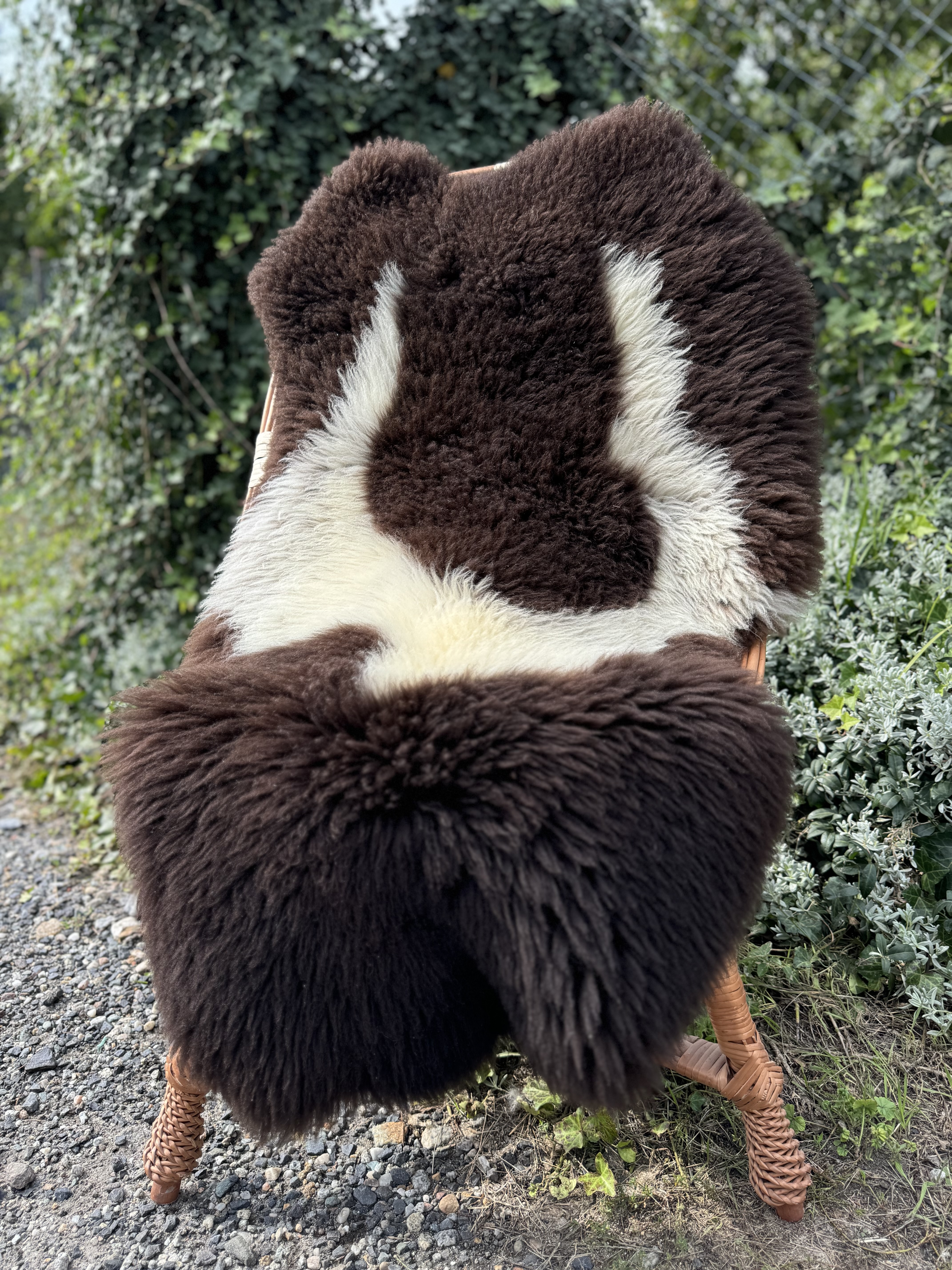 Peaux de mouton - Peaux suédoises - szwedzkie-skry-owcze-swedish-sheepskins-schwedische-schaffelle-zweedse-schapenvachten-peaux-de-mouton-sudoises1