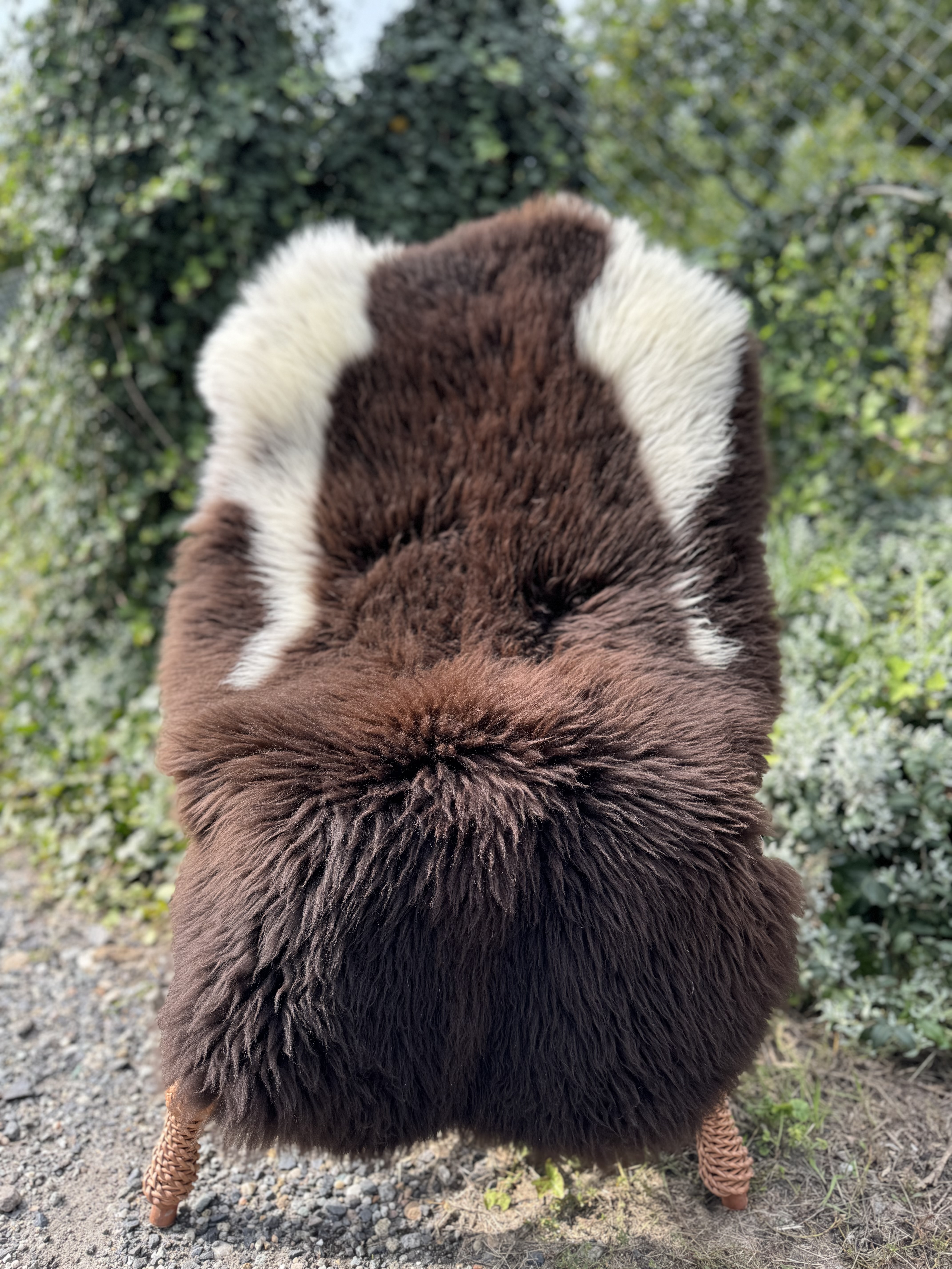 Peaux de mouton - Peaux suédoises - szwedzkie-skry-owcze-swedish-sheepskins-schwedische-schaffelle-zweedse-schapenvachten-peaux-de-mouton-sudoises3