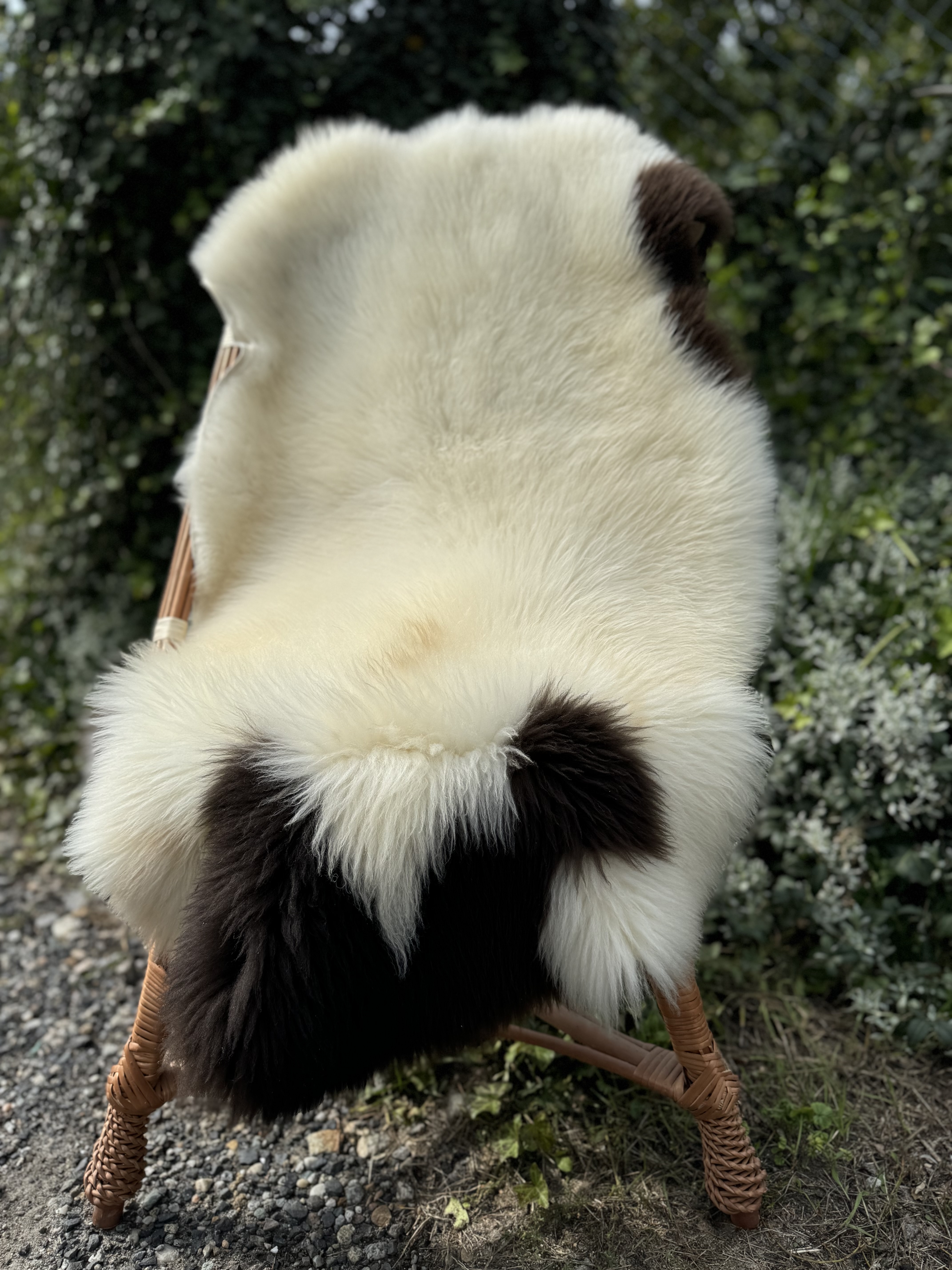 Peaux de mouton - Peaux suédoises - szwedzkie-skry-owcze-swedish-sheepskins-schwedische-schaffelle-zweedse-schapenvachten-peaux-de-mouton-sudoises4
