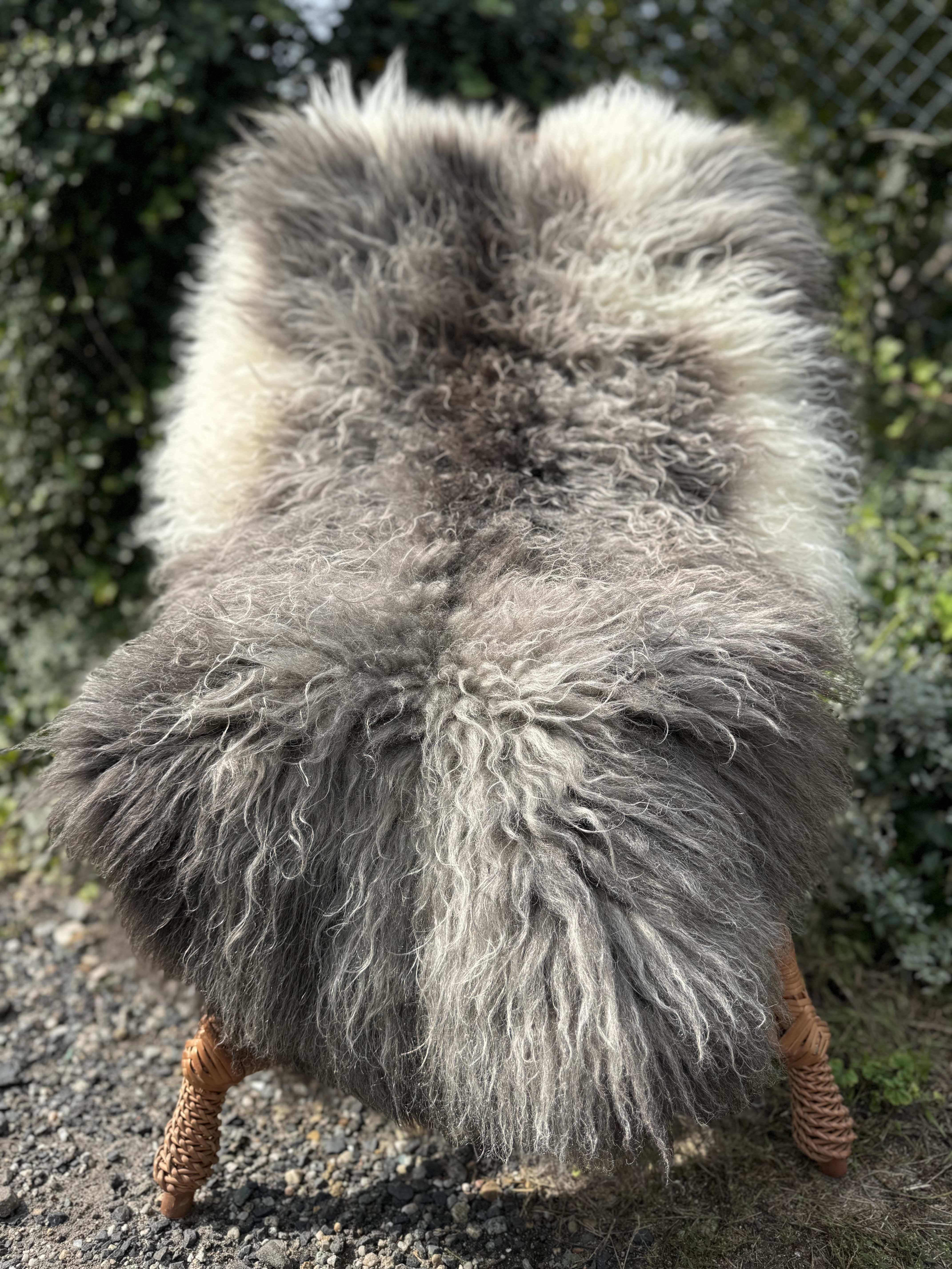 Peaux de mouton - Peaux suédoises - szwedzkie-skry-owcze-swedish-sheepskins-schwedische-schaffelle-zweedse-schapenvachten-peaux-de-mouton-sudoises